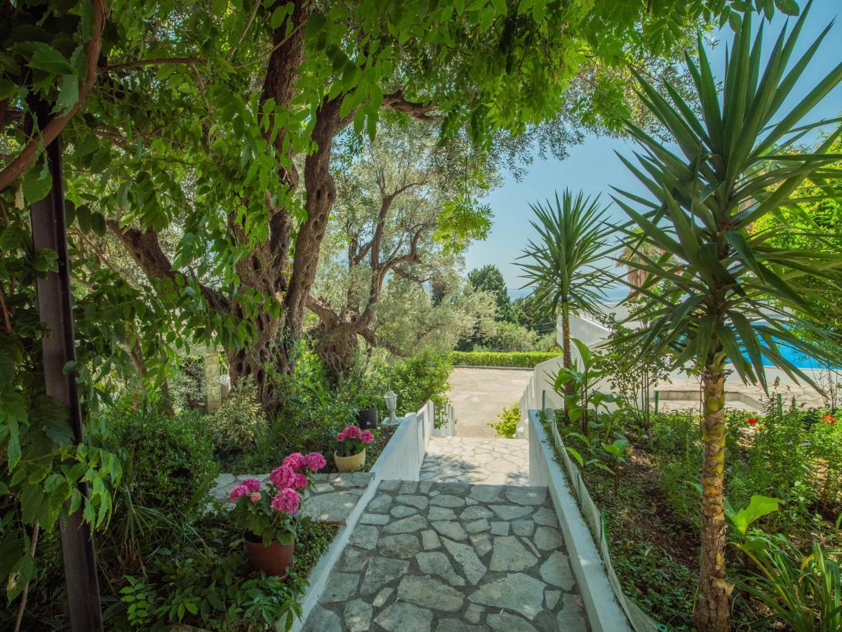 The Turtles Garden Villa Bečići Buitenkant foto
